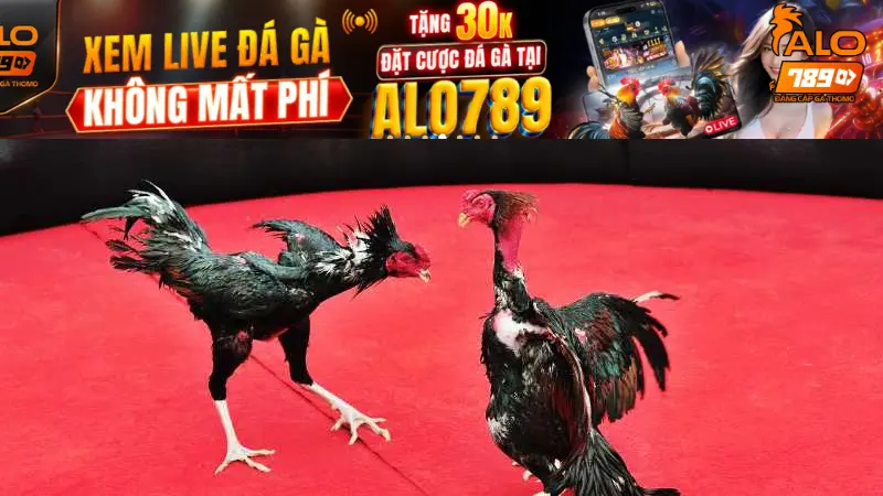 Tìm hiểu khái quát về Đá Gà CPC2