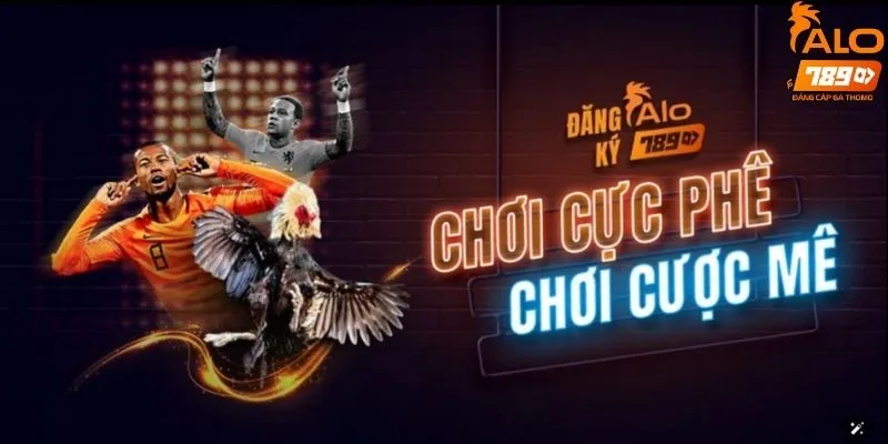 Nguyên nhân khiến cược ththủ không thể truy cập link vào