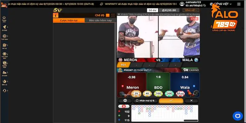 Đá gà online là gì?