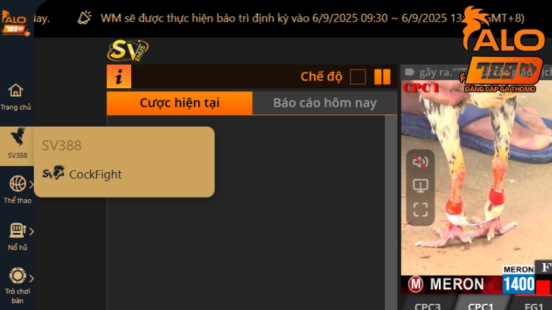 Tổng quan về nhà cái SV388 là gì?