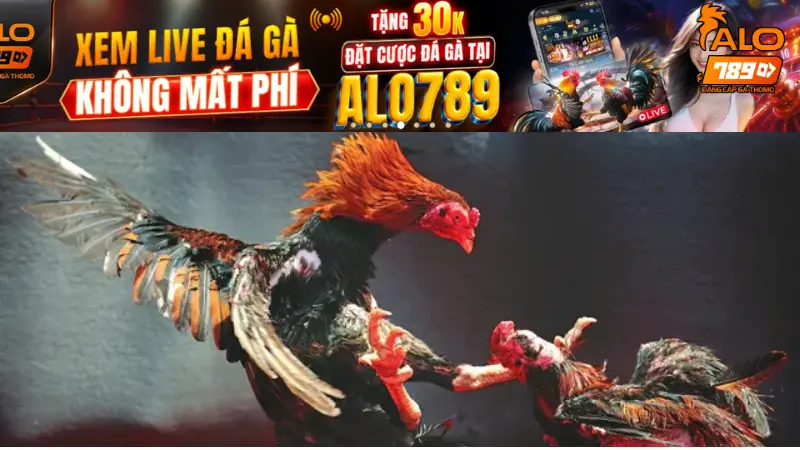 Đá Gà CPC3 - Trải nghiệm cá cược đỉnh cao mọi thời đại 2025