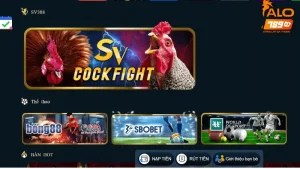 Giới thiệu cực kỳ chi tiết về Đá Gà CPC4 mới nhất cho anh em