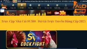Truy Cập Nhà Cái SV388 - Đá Gà Trực Tuyến Đẳng Cấp 2025