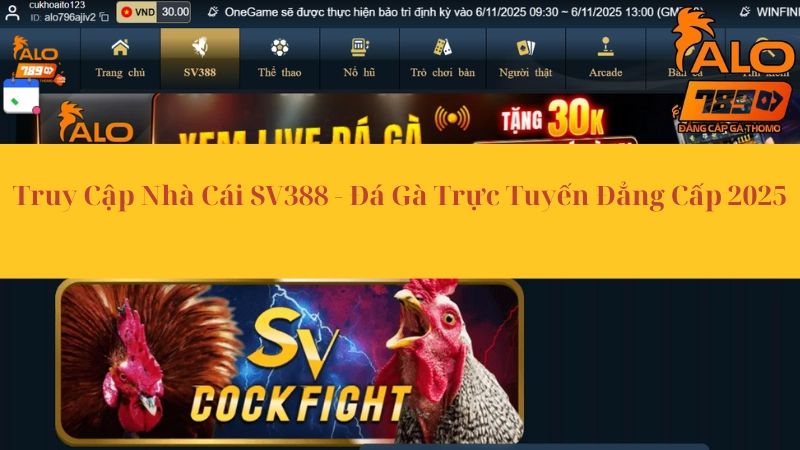 Truy Cập Nhà Cái SV388 - Đá Gà Trực Tuyến Đẳng Cấp 2025