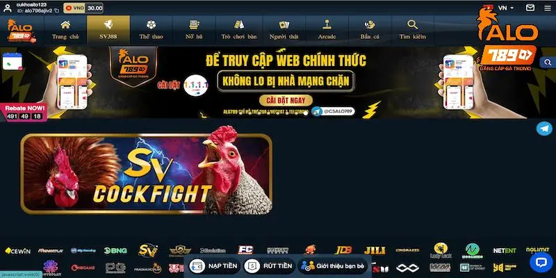 SFV388 Là Gì? Tất Tần Tật Thông Tin Về Thương Hiệu Cá Cược